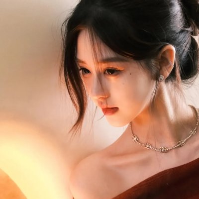 尚迪戈尔的陌生人